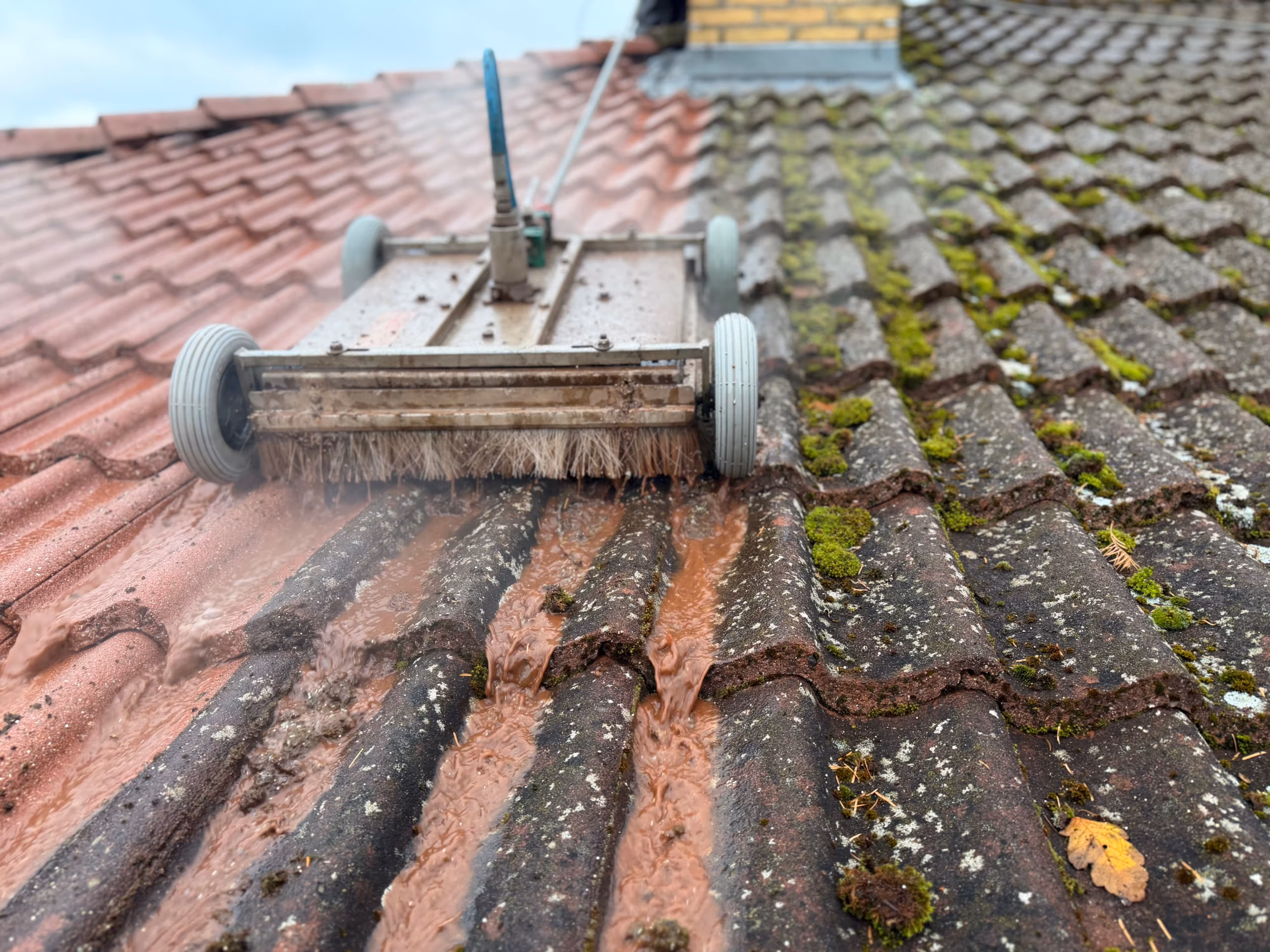 Gør-det-selv algebehandling – trin for trin guide